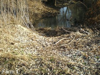 Property photo 18 - LAND AUCTION, 1,674 acres Tillable and Woodland in Clark, Jackson, Jefferson, Scott and Washington Counties, Indiana