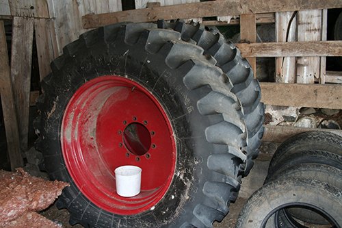 Property photo 36 - EQUIPMENT AUCTIONSuperior Dairy Farms & Other in St. Joseph County, Michigan