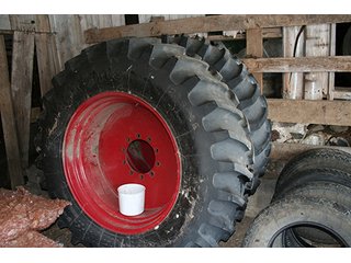 Property photo 36 - EQUIPMENT AUCTIONSuperior Dairy Farms & Other in St. Joseph County, Michigan