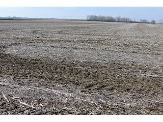 Tract 1 - LAND AUCTION, 1,195+/- acres offered in 8 tracts in Carroll, Lafayette & Ray Counties