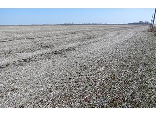 Tract 2 - LAND AUCTION, 1,195+/- acres offered in 8 tracts in Carroll, Lafayette & Ray Counties