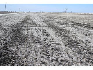 Tract 4 - LAND AUCTION, 1,195+/- acres offered in 8 tracts in Carroll, Lafayette & Ray Counties