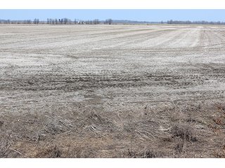Tract 4 - LAND AUCTION, 1,195+/- acres offered in 8 tracts in Carroll, Lafayette & Ray Counties