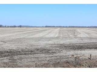 Tract 4 - LAND AUCTION, 1,195+/- acres offered in 8 tracts in Carroll, Lafayette & Ray Counties