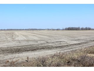 Tract 4 - LAND AUCTION, 1,195+/- acres offered in 8 tracts in Carroll, Lafayette & Ray Counties