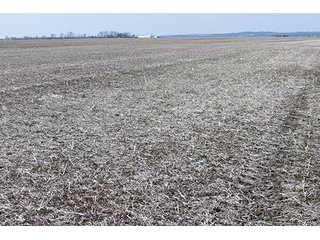 Tract 3 - LAND AUCTION, 1,195+/- acres offered in 8 tracts in Carroll, Lafayette & Ray Counties