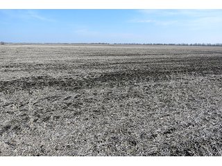 Tract 7 - LAND AUCTION, 1,195+/- acres offered in 8 tracts in Carroll, Lafayette & Ray Counties