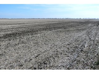 Tract 7 - LAND AUCTION, 1,195+/- acres offered in 8 tracts in Carroll, Lafayette & Ray Counties