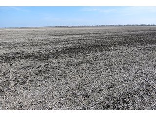 Tract 7 - LAND AUCTION, 1,195+/- acres offered in 8 tracts in Carroll, Lafayette & Ray Counties
