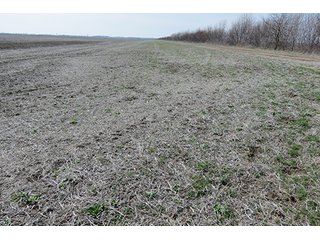 Tract 7 - LAND AUCTION, 1,195+/- acres offered in 8 tracts in Carroll, Lafayette & Ray Counties