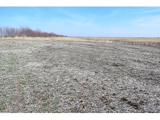 Tract 7 - LAND AUCTION, 1,195+/- acres offered in 8 tracts in Carroll, Lafayette & Ray Counties