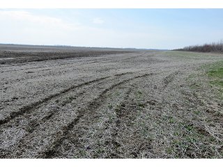 Tract 7 - LAND AUCTION, 1,195+/- acres offered in 8 tracts in Carroll, Lafayette & Ray Counties