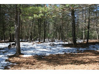 Property photo 21 - REAL ESTATE & PERSONAL PROPERTY AUCTION, 10+/- Acres offered in 1 Tract in Lake County