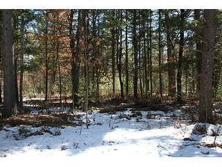 Property photo 23 - REAL ESTATE & PERSONAL PROPERTY AUCTION, 10+/- Acres offered in 1 Tract in Lake County