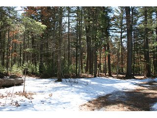 Property photo 24 - REAL ESTATE & PERSONAL PROPERTY AUCTION, 10+/- Acres offered in 1 Tract in Lake County