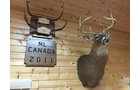 Property photo 10 - PERSONAL PROPERTY AUCTION, IMPRESSIVE 3 DAY AUCTION in Noble County