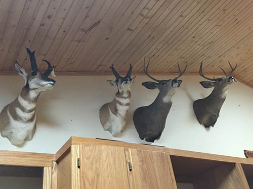 Property photo 11 - PERSONAL PROPERTY AUCTION, IMPRESSIVE 3 DAY AUCTION in Noble County