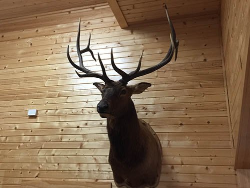 Property photo 12 - PERSONAL PROPERTY AUCTION, IMPRESSIVE 3 DAY AUCTION in Noble County