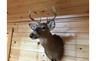 Property photo 13 - PERSONAL PROPERTY AUCTION, IMPRESSIVE 3 DAY AUCTION in Noble County