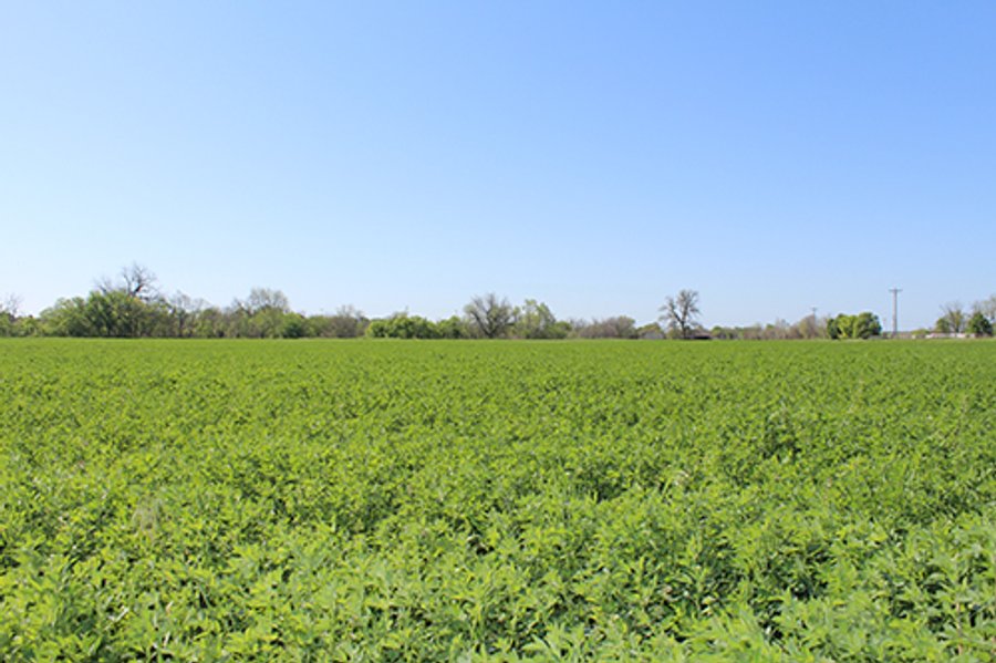 LAND AUCTION, 520+/- Acre McClain County Oklahoma Land Auction Offered in 23 Tracts