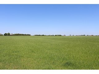 Tract 16 - LAND AUCTION, 520+/- Acre McClain County Oklahoma Land Auction Offered in 23 Tracts
