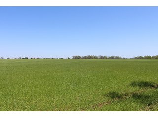 Tract 17 - LAND AUCTION, 520+/- Acre McClain County Oklahoma Land Auction Offered in 23 Tracts