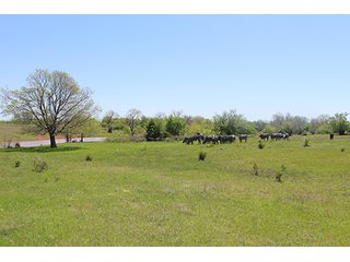 Tract 19 - LAND AUCTION, 520+/- Acre McClain County Oklahoma Land Auction Offered in 23 Tracts