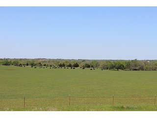 Tract 20 - LAND AUCTION, 520+/- Acre McClain County Oklahoma Land Auction Offered in 23 Tracts