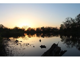 Tract 8 - LAND AUCTION, 520+/- Acre McClain County Oklahoma Land Auction Offered in 23 Tracts