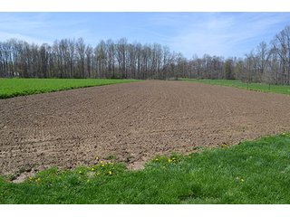 Property photo 5 - LAND AUCTION, 115+/- Acres offered in 3 Tracts in Parke County