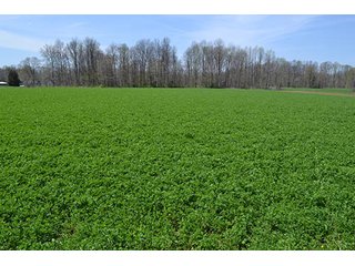 Property photo 6 - LAND AUCTION, 115+/- Acres offered in 3 Tracts in Parke County