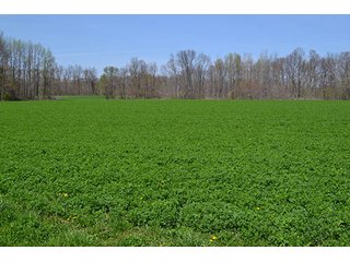 Property photo 8 - LAND AUCTION, 115+/- Acres offered in 3 Tracts in Parke County