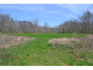 Property photo 9 - LAND AUCTION, 115+/- Acres offered in 3 Tracts in Parke County