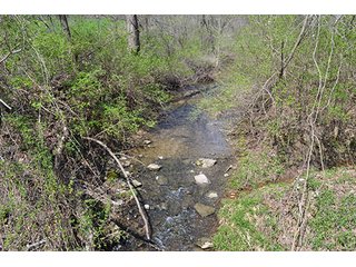 Property photo 10 - LAND AUCTION, 115+/- Acres offered in 3 Tracts in Parke County