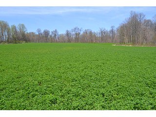 Property photo 11 - LAND AUCTION, 115+/- Acres offered in 3 Tracts in Parke County