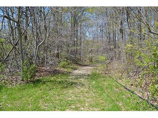 Property photo 12 - LAND AUCTION, 115+/- Acres offered in 3 Tracts in Parke County