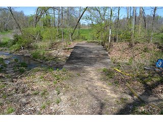 Property photo 13 - LAND AUCTION, 115+/- Acres offered in 3 Tracts in Parke County