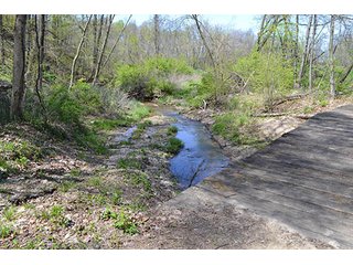 Property photo 14 - LAND AUCTION, 115+/- Acres offered in 3 Tracts in Parke County