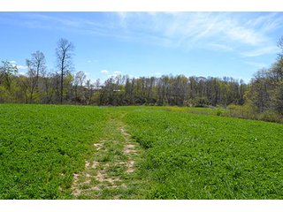 Property photo 16 - LAND AUCTION, 115+/- Acres offered in 3 Tracts in Parke County