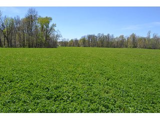 Property photo 78 - LAND AUCTION, 115+/- Acres offered in 3 Tracts in Parke County