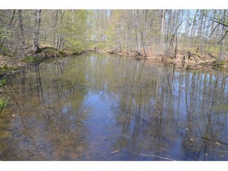 Property photo 80 - LAND AUCTION, 115+/- Acres offered in 3 Tracts in Parke County