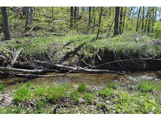 Property photo 82 - LAND AUCTION, 115+/- Acres offered in 3 Tracts in Parke County