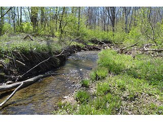 Property photo 83 - LAND AUCTION, 115+/- Acres offered in 3 Tracts in Parke County
