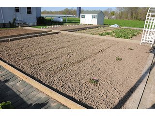 Property photo 31 - LAND AUCTION, 115+/- Acres offered in 3 Tracts in Parke County