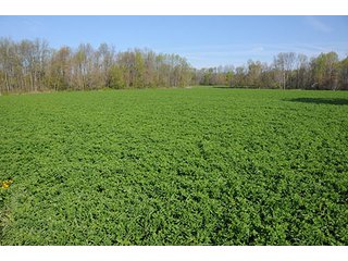 Property photo 87 - LAND AUCTION, 115+/- Acres offered in 3 Tracts in Parke County
