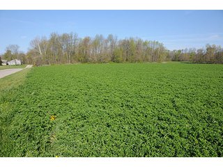 Property photo 88 - LAND AUCTION, 115+/- Acres offered in 3 Tracts in Parke County