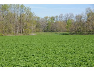 Property photo 89 - LAND AUCTION, 115+/- Acres offered in 3 Tracts in Parke County