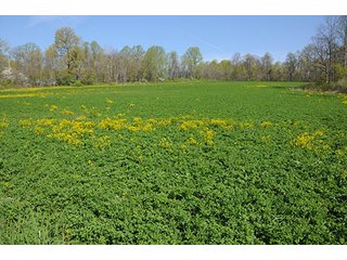 Property photo 90 - LAND AUCTION, 115+/- Acres offered in 3 Tracts in Parke County