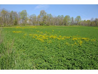 Property photo 91 - LAND AUCTION, 115+/- Acres offered in 3 Tracts in Parke County