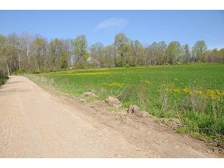 Property photo 92 - LAND AUCTION, 115+/- Acres offered in 3 Tracts in Parke County